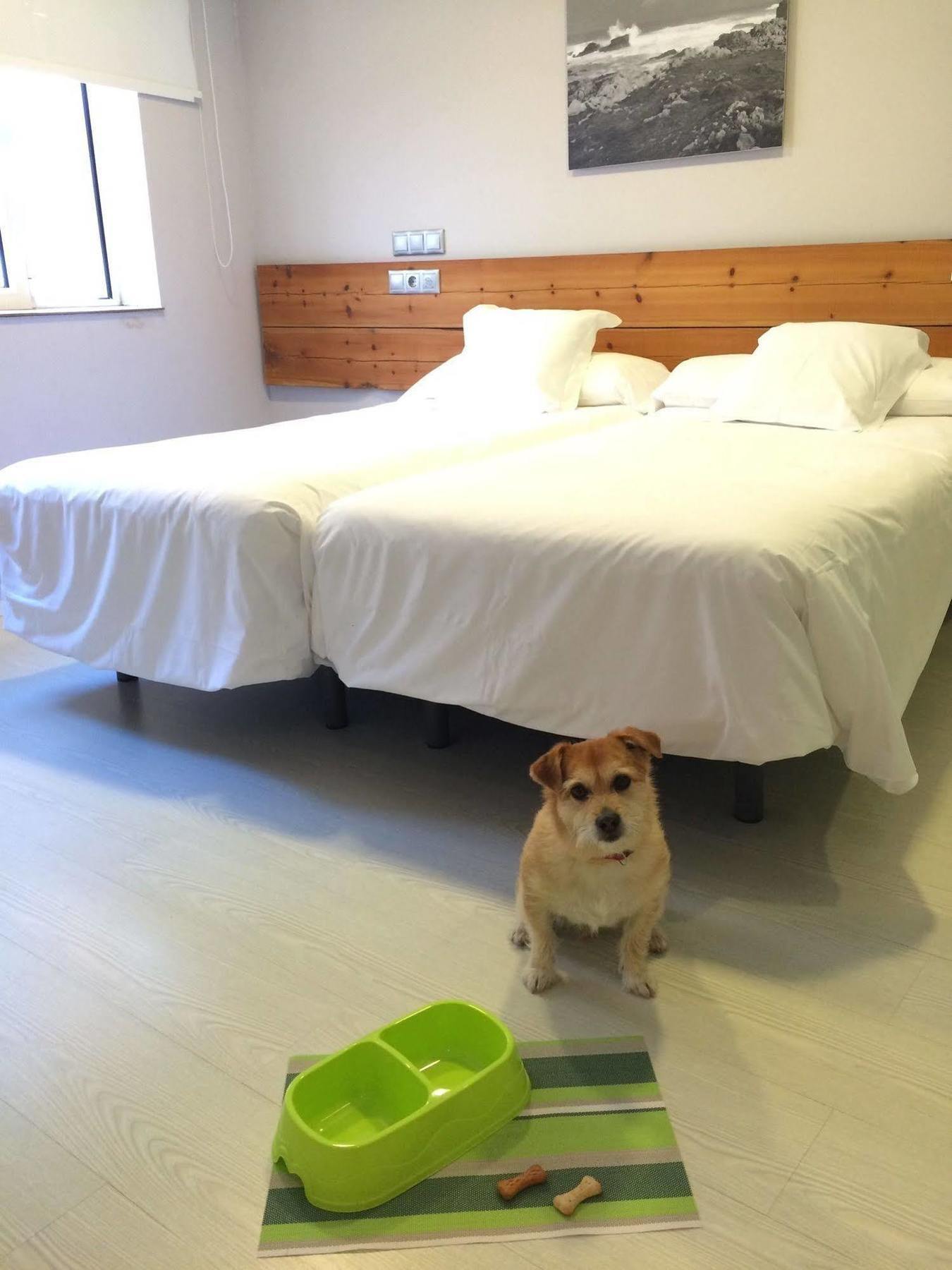 Hosteria Santander Ngoại thất bức ảnh